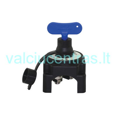 Masės išjungėjas 12V